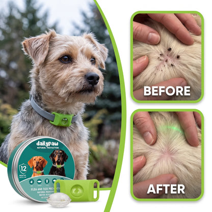 DailyPaw - Natural Flea & Tick Tag for Dogs