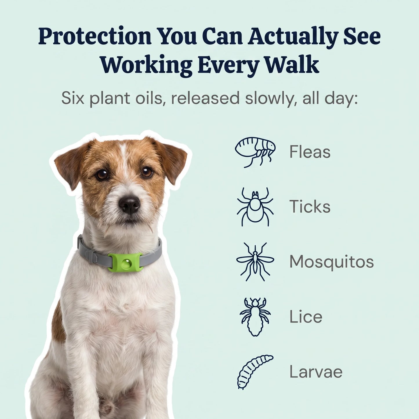 DailyPaw - Natural Flea & Tick Tag for Dogs