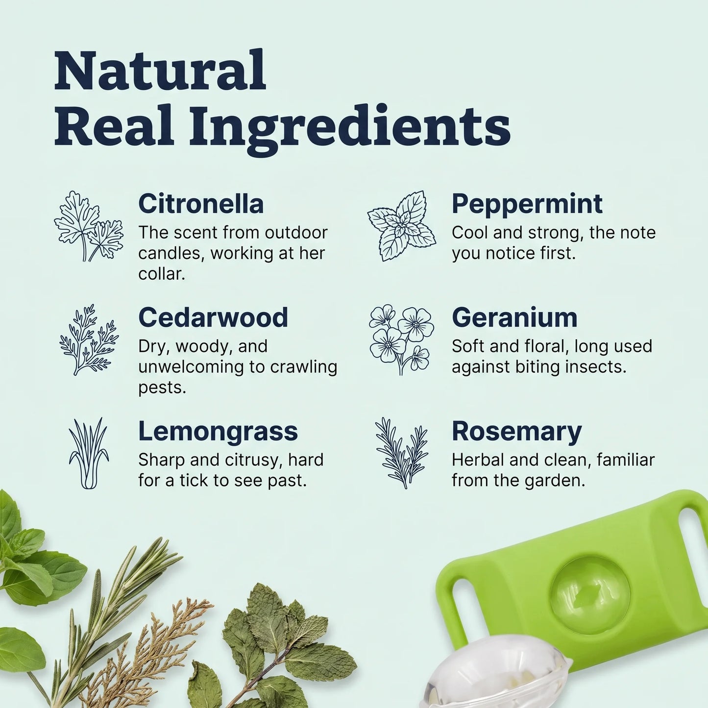 DailyPaw - Natural Flea & Tick Tag for Dogs