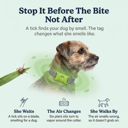 DailyPaw - Natural Flea & Tick Tag for Dogs